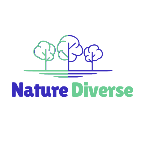 NatureDIverse Logo Suggestions